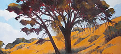 Tree Study - Kgalaghadi National Park | 2013 | Oil on Canvas | 46 x 68 cm